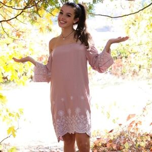 Francesca's Blush off the shoulder dress